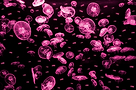 ea5a72ed-5502-4772-a595-fe566592b25b.png