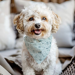 veterinary clinic branding dog kerchief