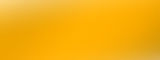 ColorChart_Avery_Satin Safari Gold 260.jpg