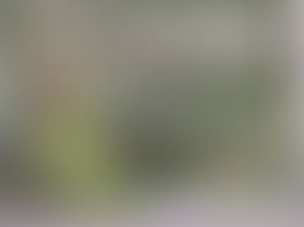 Chauve qui peut en CM1-CM2!