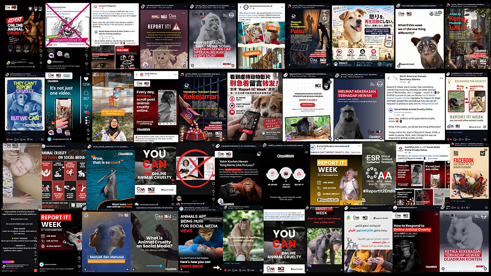 Organisations participating in the Report It! Week 2026