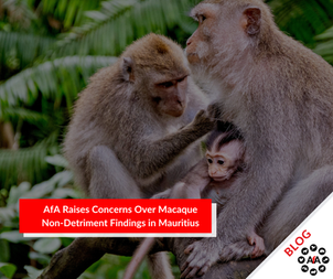 AfA Raises Concerns Over Macaque Non-Detriment Findings in Mauritius