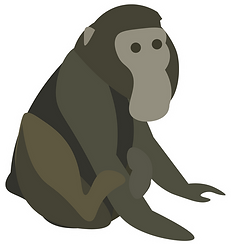M.hecki _ Heck_s macaque.png