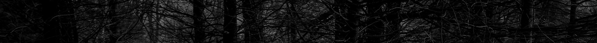 Woods and waters background