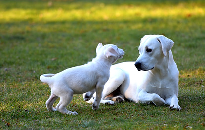 playtime
