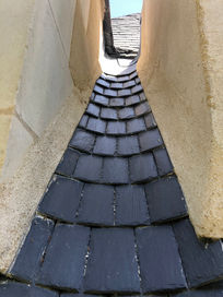 IMG_2012.jpeg