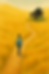May 19, 2025, 11_19_05 AM.png