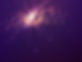 63313651_xl.jpg