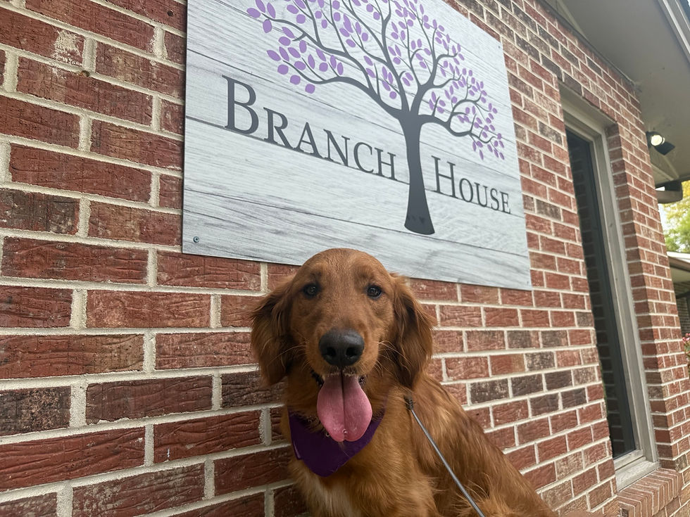 Pets in Purple – Highlighting the Intersectionality of Domestic Violence and Pets