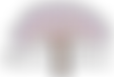 We're Hiring - Coordinated Community Response (CCR) Specialist