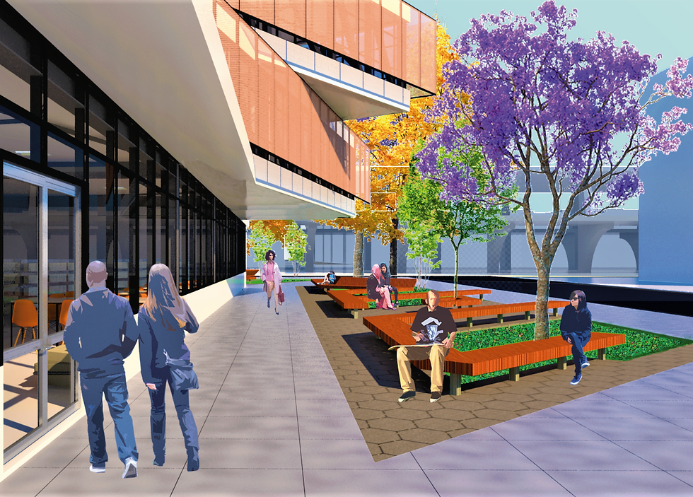 Externo biblioteca
