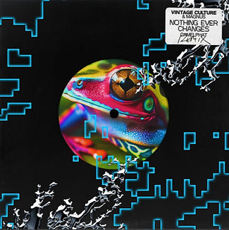 NOTHING EVER CHANGES CAMELPHAT ARTWORK