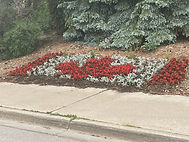 IMG_6570.jpg