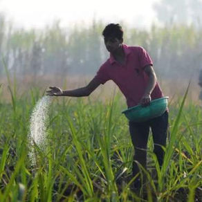 शेतकऱ्यांनी एमआरपीनुसार करावी खतांची खरेदी