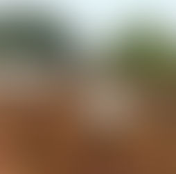 शेतीला पशुपालनाची जोड; दुध आणि शेणखतामुळे आली आर्थिक समृद्धी