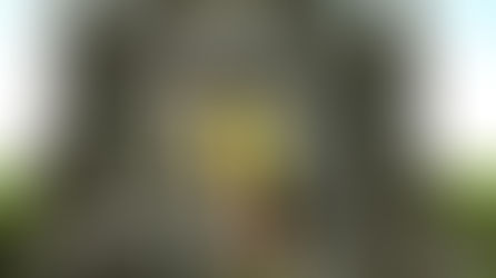 छत्रपती शिवाजी महाराज जयंतीनिमित्त मार्गदर्शक सूचना जारी 