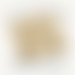 Rex Trinket Box 1907