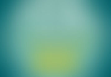 スローフィッシュ:Slow Fish