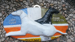 23x12 cm