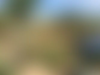 Sometimes I underestimate the beauty …