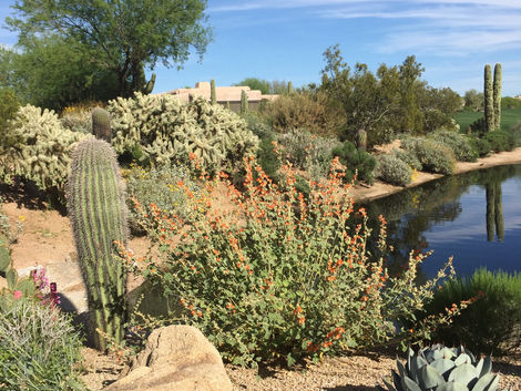 Sometimes I underestimate the beauty …