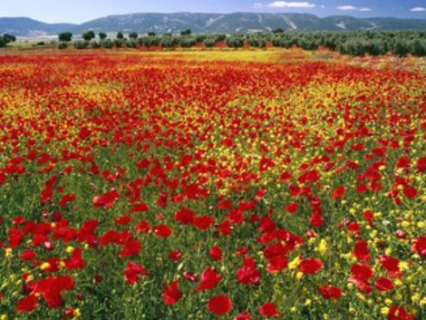 You know those days when