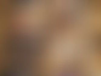 A new brand at a fabulous price