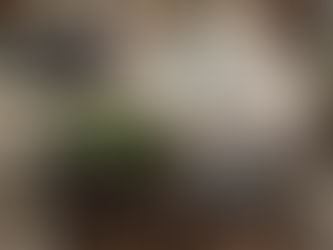 Pottery Barn living spaces