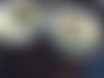 Pan Seared Scallops in lemon butter and garlic sauce