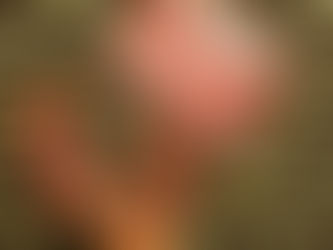 All about the accessories…