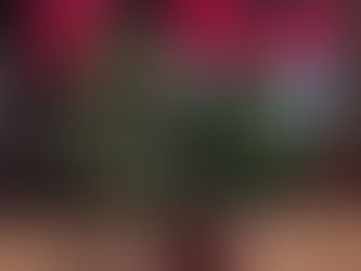 Happy Valentines Day