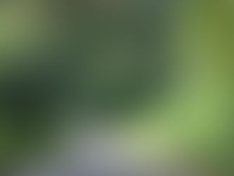 Can life really be one big vacation???