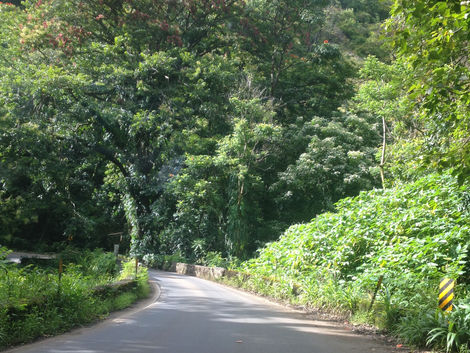 Can life really be one big vacation???