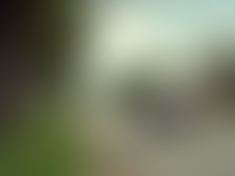 Insurance Rate Comparison Texas: How to Find the Best Coverage for Your Needs