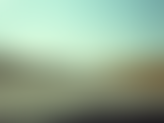 Meet Texas Auto Insurance Minimums: What You Need to Know About Minimum Car Insurance Texas