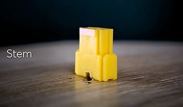 Alps SKCM Amber Stem