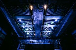 Light Installations | Locus Pocus Deco