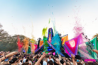 Main Stages | Locus Pocus Deco