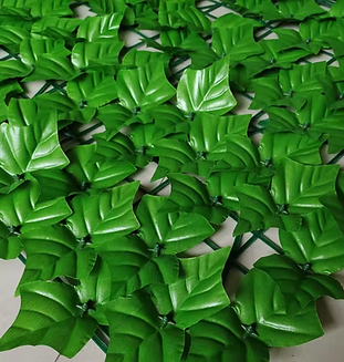 Screenshot 2024-03-18 at 13.41.53.png