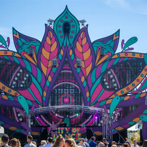 Main Stages | Locus Pocus Deco