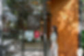 DSC01544.jpg