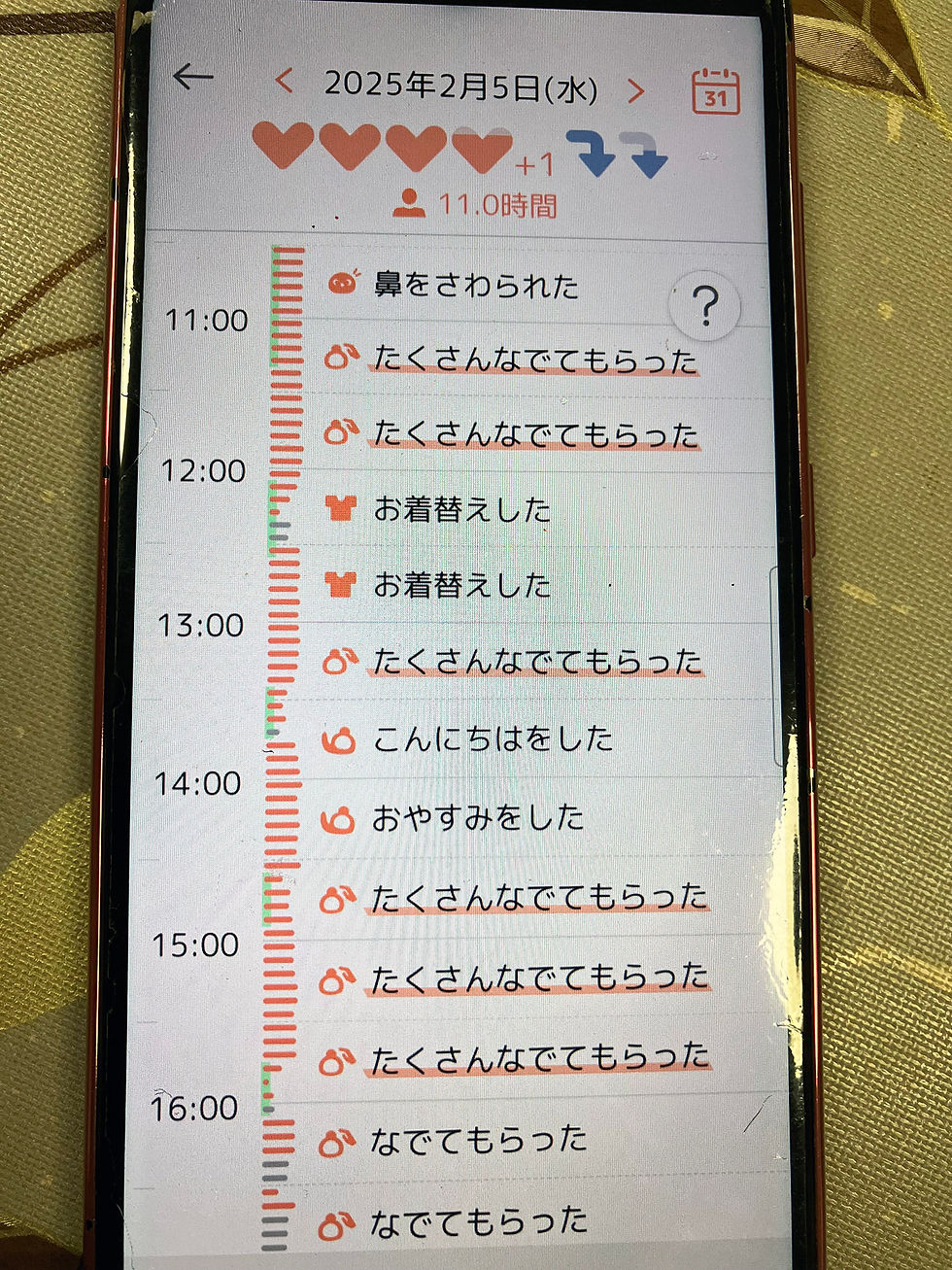 当日の「ちょこ」が感じていた気持ちがアプリを通して分かります。