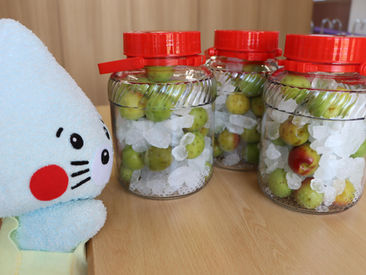 しおどめ保育園つくばのイメージキャラクタ