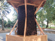 6-kątna tężnia w miejscowości Włostów