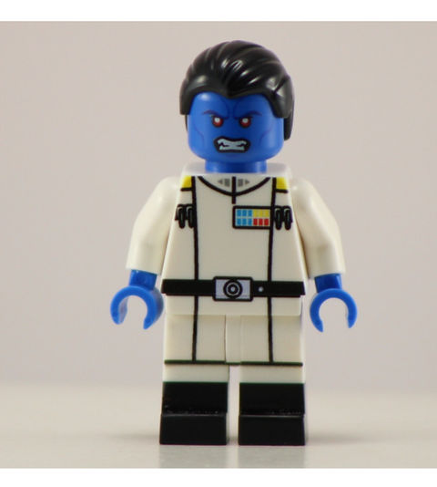 ADMIRAL THRONE Custom Printed Building Brick Figure! | bigkidbrix