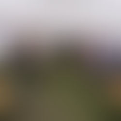 1. Seniorenfrühstück