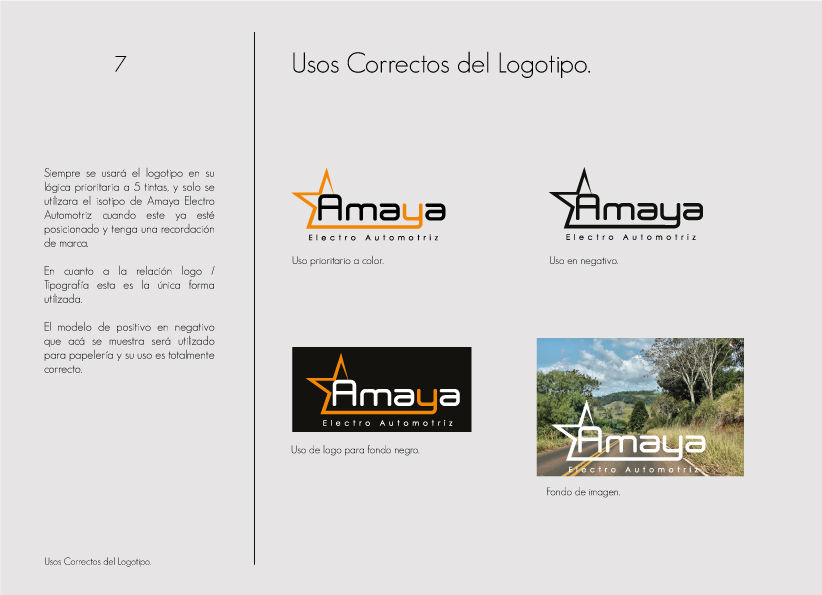 Manual de Identidad