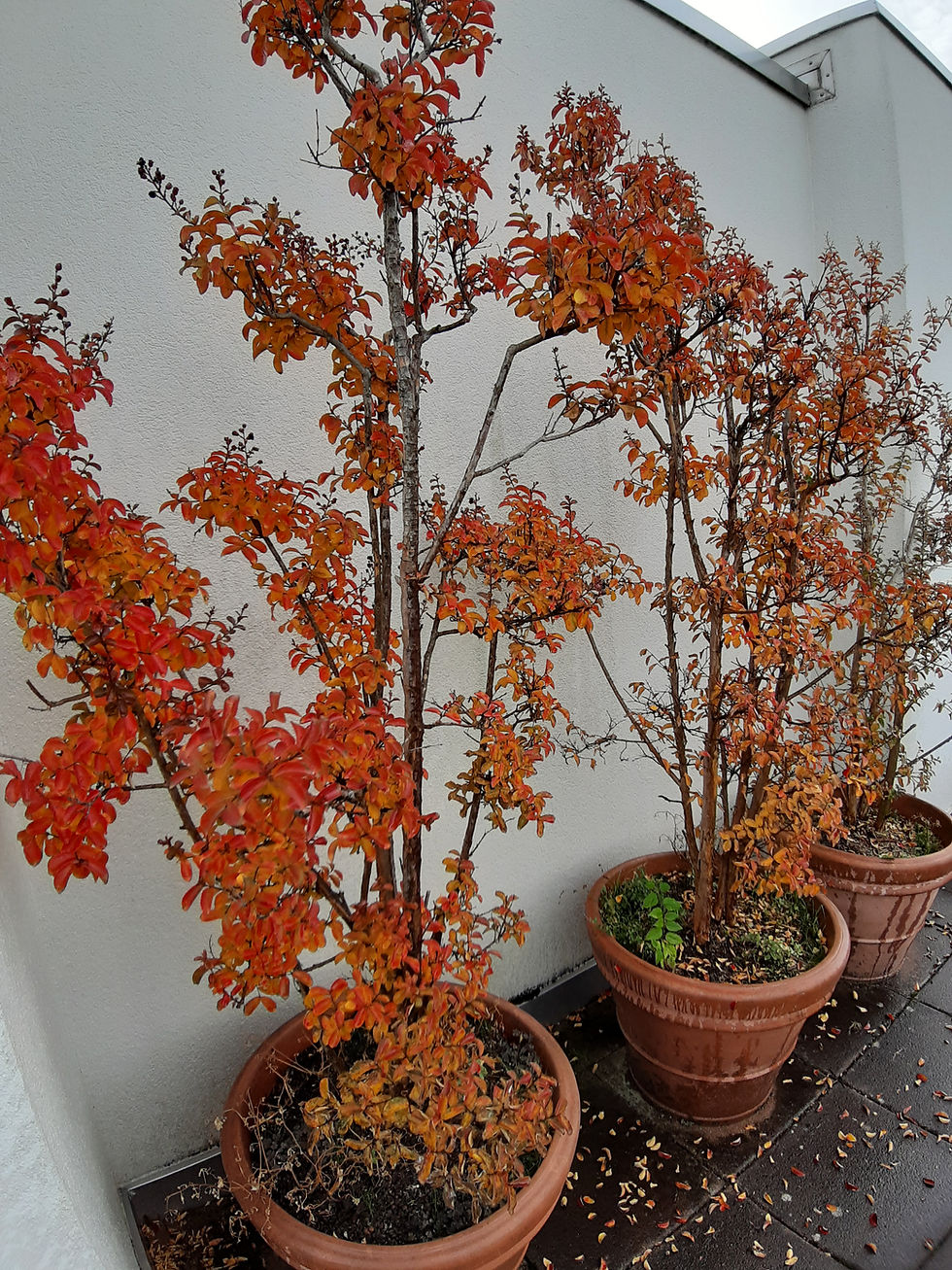 20201021_114538