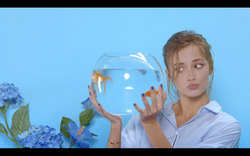 Capture d’écran 2017-08-28 à 10.12.42