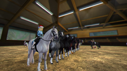 StarStable_2019-12-16_20-25-56.png